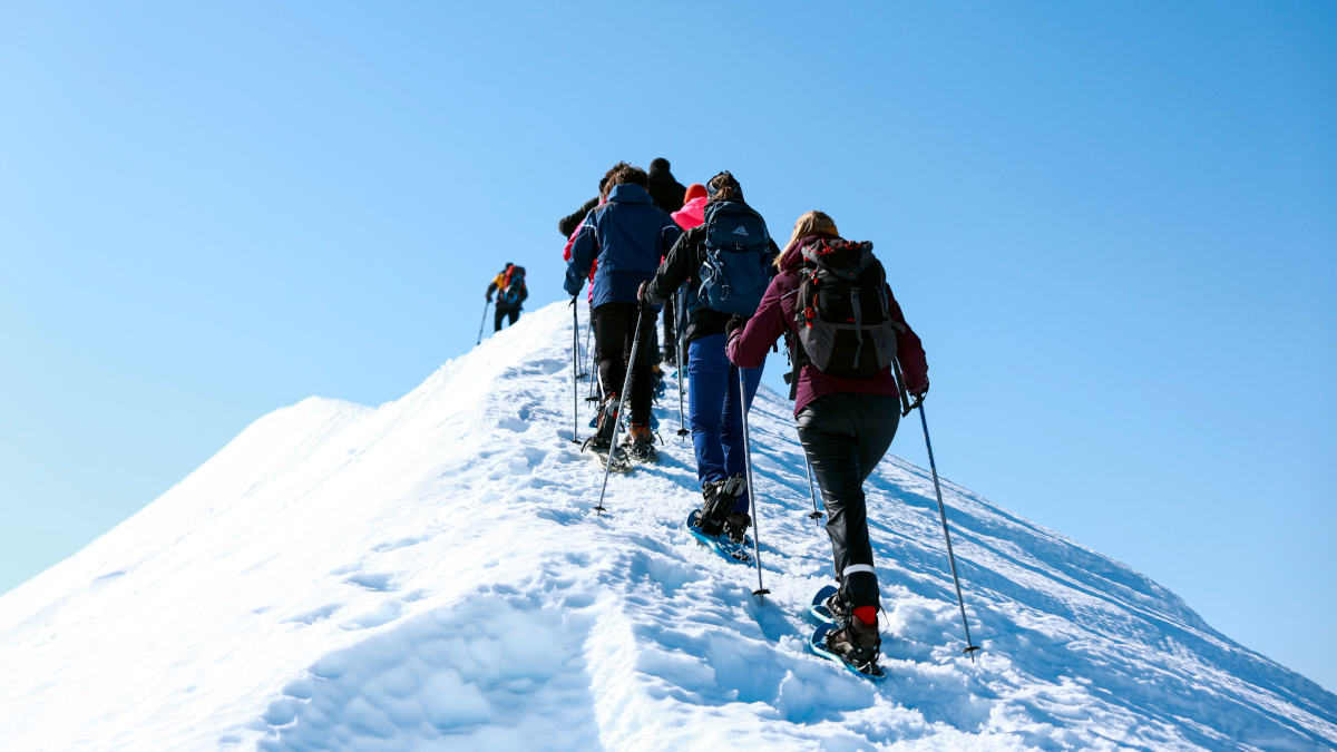 Groupe de randonneurs en raquettes à neige, accompagné par Cédric Baradel durant l'hiver 2025-26. Secteur de la tour Carrée, Massif du Sancy, Massif des Monts-Dore, Puy-de-Dôme, Auvergne.